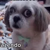 carol67777