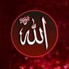 najbul.ahsan.ansa