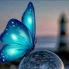user9924350813368