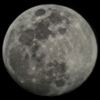 c2895412vwd
