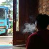 kang.mas895