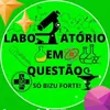 laboratorio.em.questao_