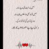 rajasheheryar42
