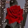 user8511868088051