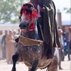 belaid.belkassem