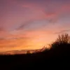 kikiandoli8