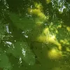 eloisapro4