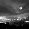 wwwjin71