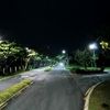 bayu_martono01
