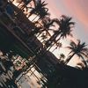 kriss3796