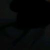 poooo._23