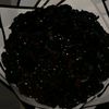 saacid.carab4