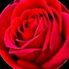 user78166833679657