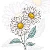 catanddaisy