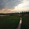 manusia_.87
