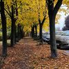 beksultan_975