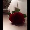 s.o._544