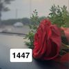 .h.1447