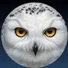 moonlitowl1119