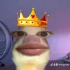 ohngn00