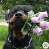 annemarienagel6l454