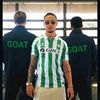 goatelgasing00