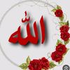 user8134128819882