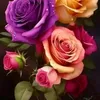 user2415412616014