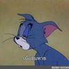 thitiphong