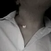 alina_18006