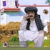 taj.ali.khan.khan0