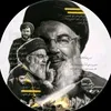 z_dm7a
