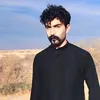 hsgd_31