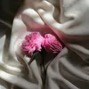 so__lk1