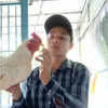 chienchauthanh67