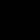 zq.20300