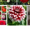 user8200573304781huma