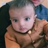 zohanali387