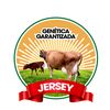 genetica garantizada Jersey