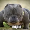 aoaoaiaoai18