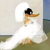 زهـــره