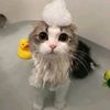 just.a.fluid