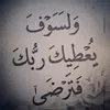 zjsxjx