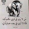 a................zz