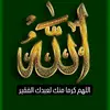 zein0019