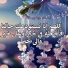user6834060619228