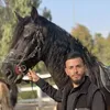 blackcocatoo