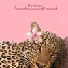 fofor_20