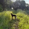 lou_18078