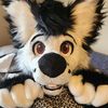 furrygeologist